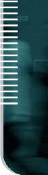 sustain pic d